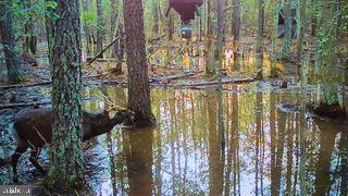 2432 Andrews Road Crapo, MD 21626 - Photo 55 of 60 Gallery Image 55