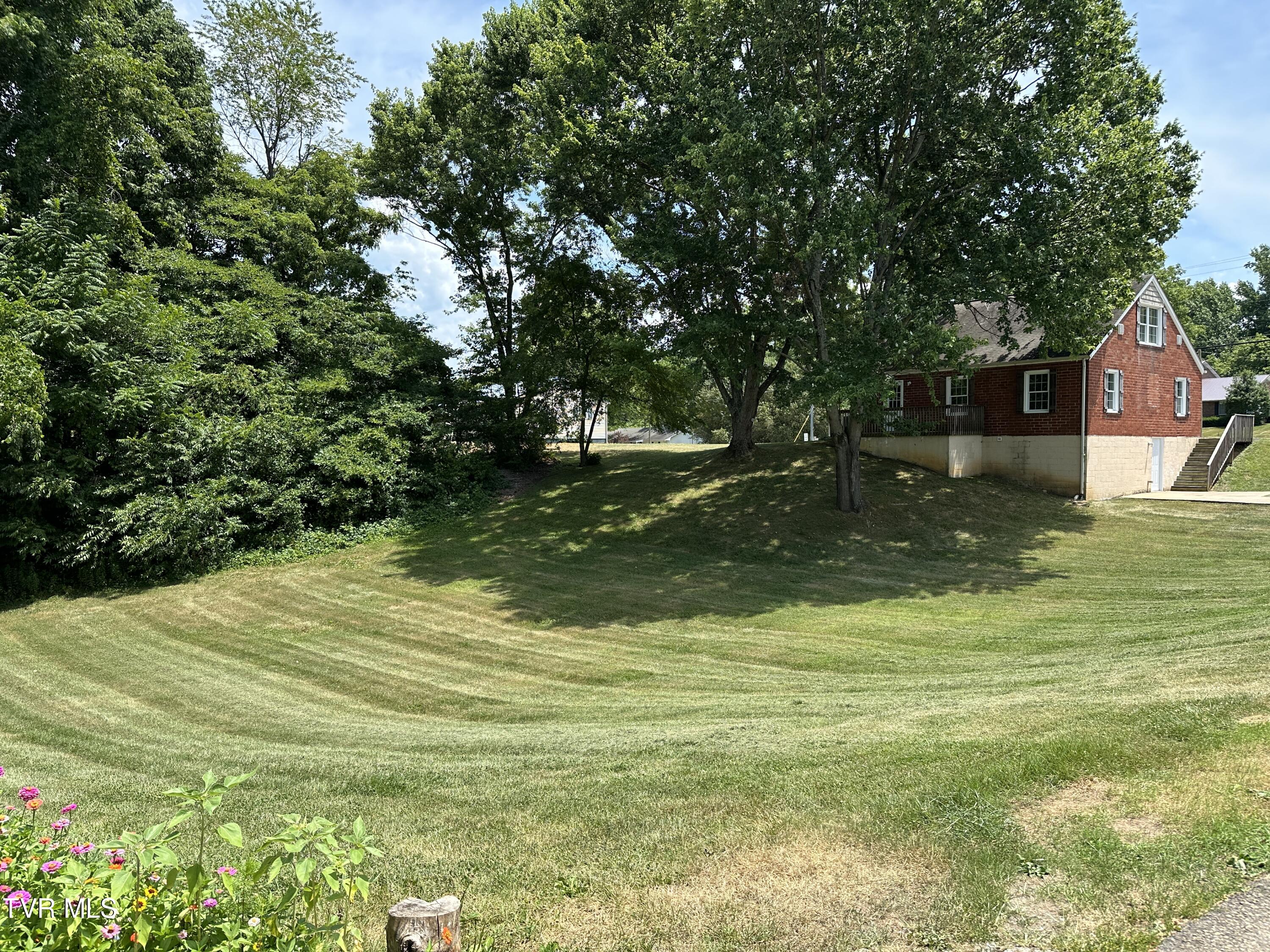 2224 Indian Ridge Road Johnson City, TN 37604 - Photo 4 of 18 2224 Indian Ridge Rd 04