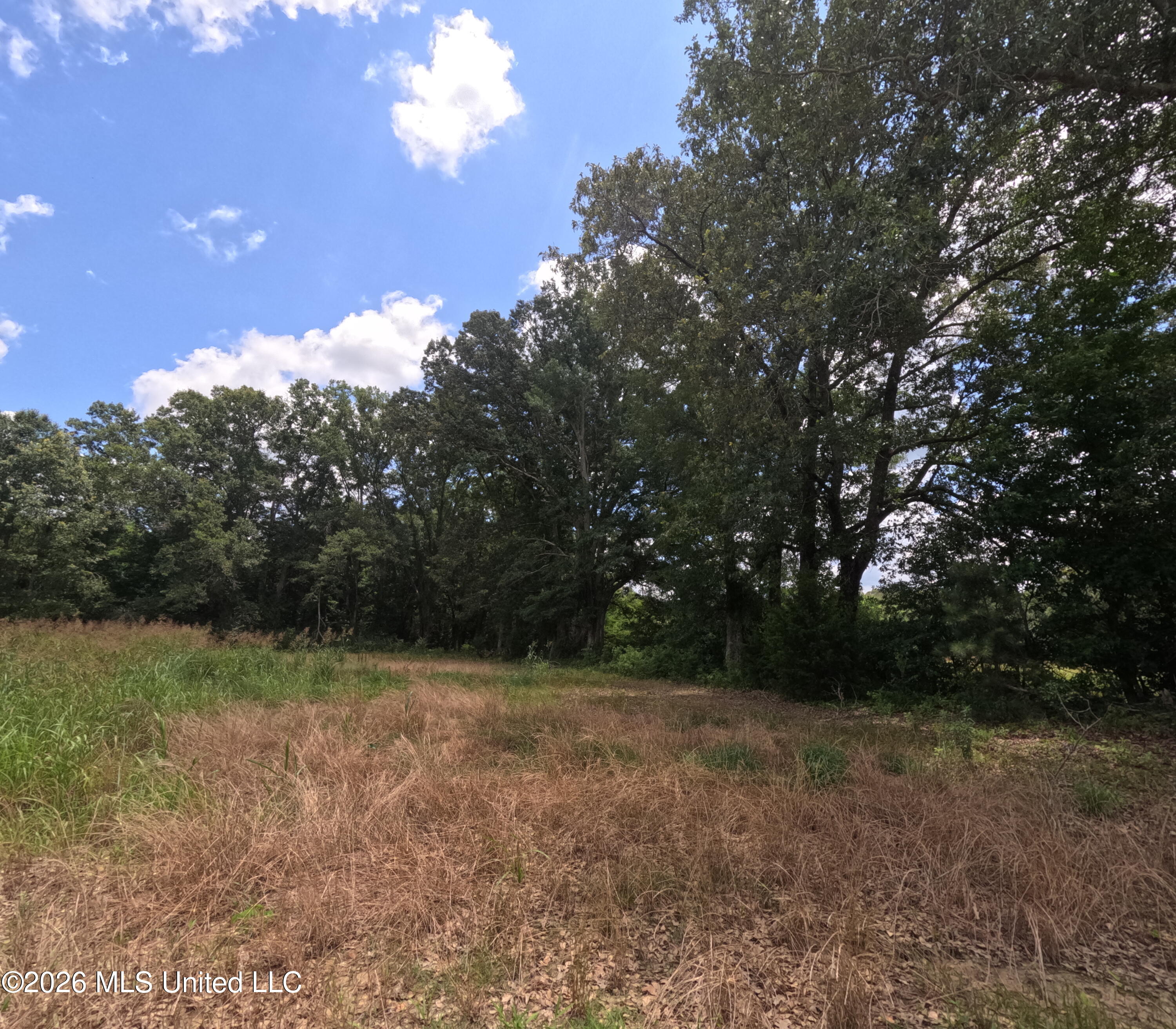 Old Port Edwards, MS 39066 - Photo 23 of 65 GOPR2254