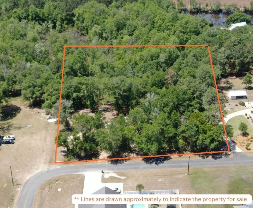 51 Coweta Road Hoboken, GA 31542 - Photo 3 of 16