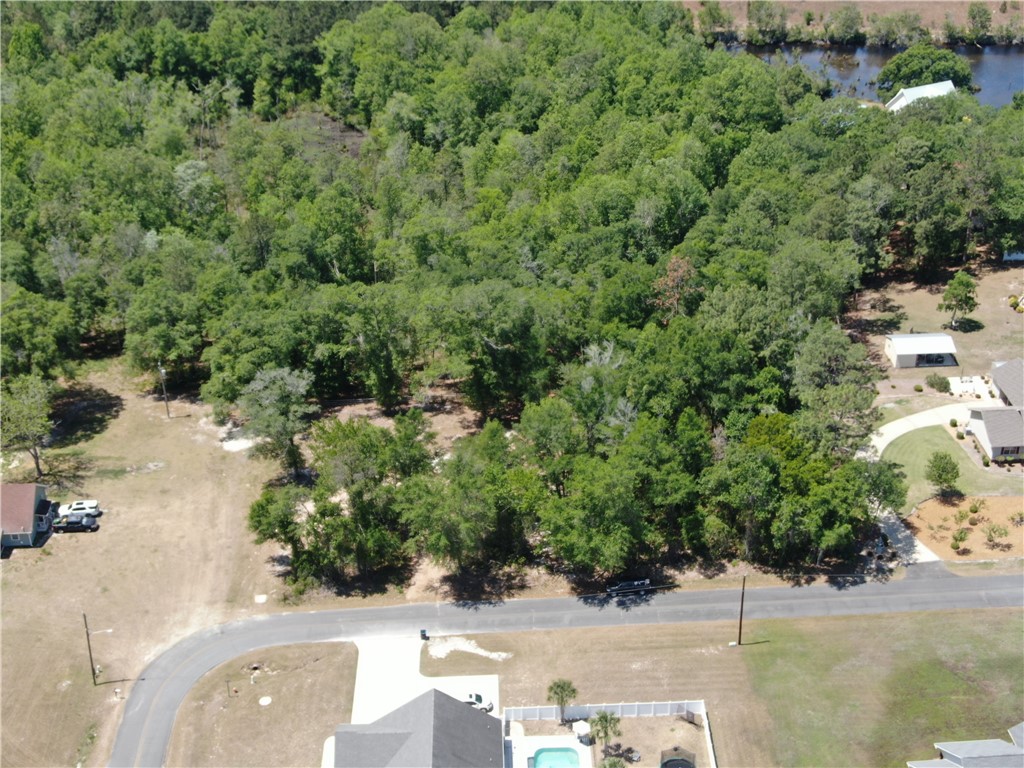 51 Coweta Road Hoboken, GA 31542 - Photo 7 of 16