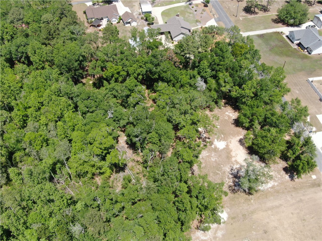 51 Coweta Road Hoboken, GA 31542 - Photo 8 of 16