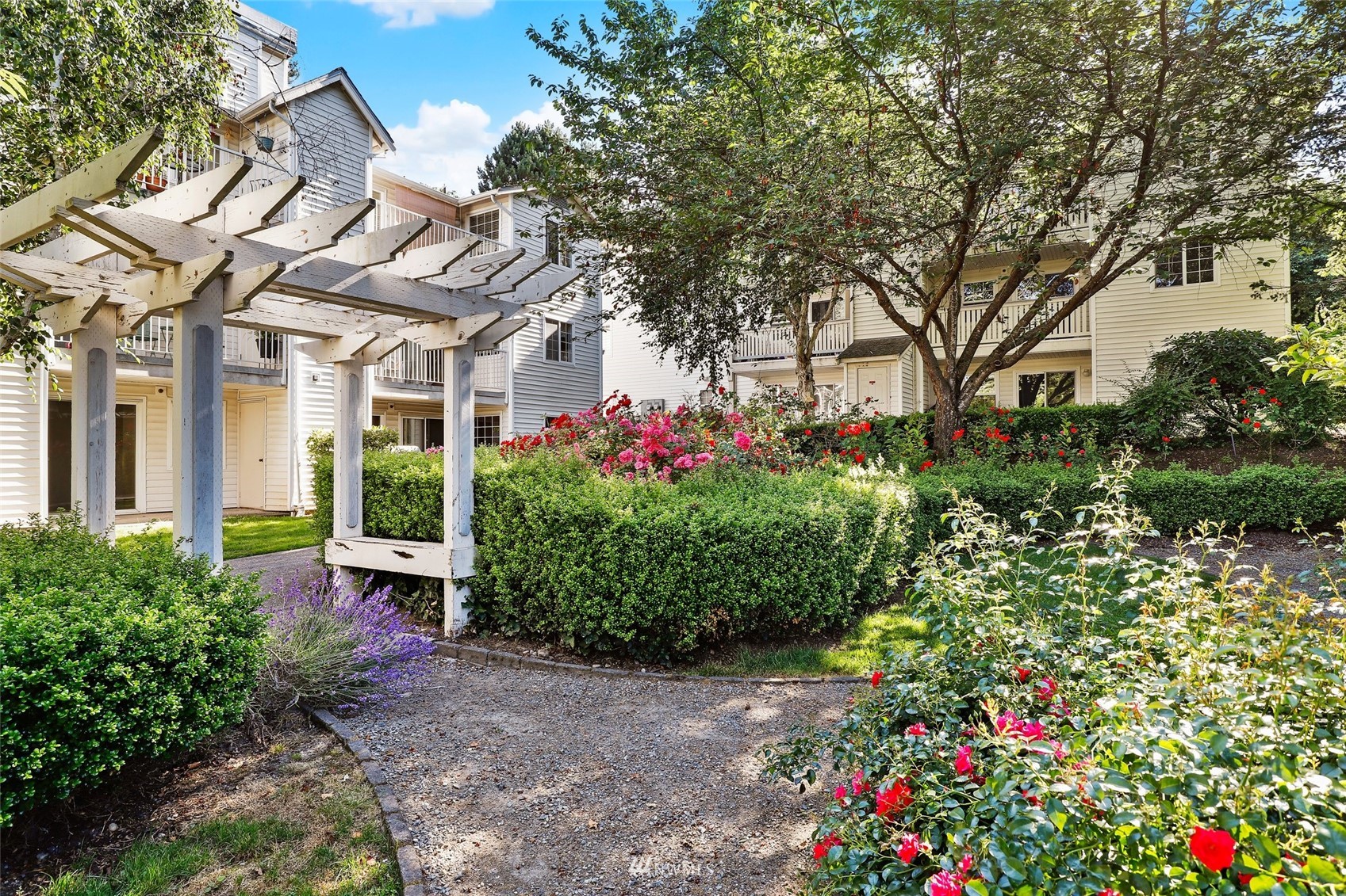 949 Aberdeen Avenue Northeast, Unit B104 Renton, WA 98056 - Photo 16 of 20 a front view of a house with lots of plants and trees