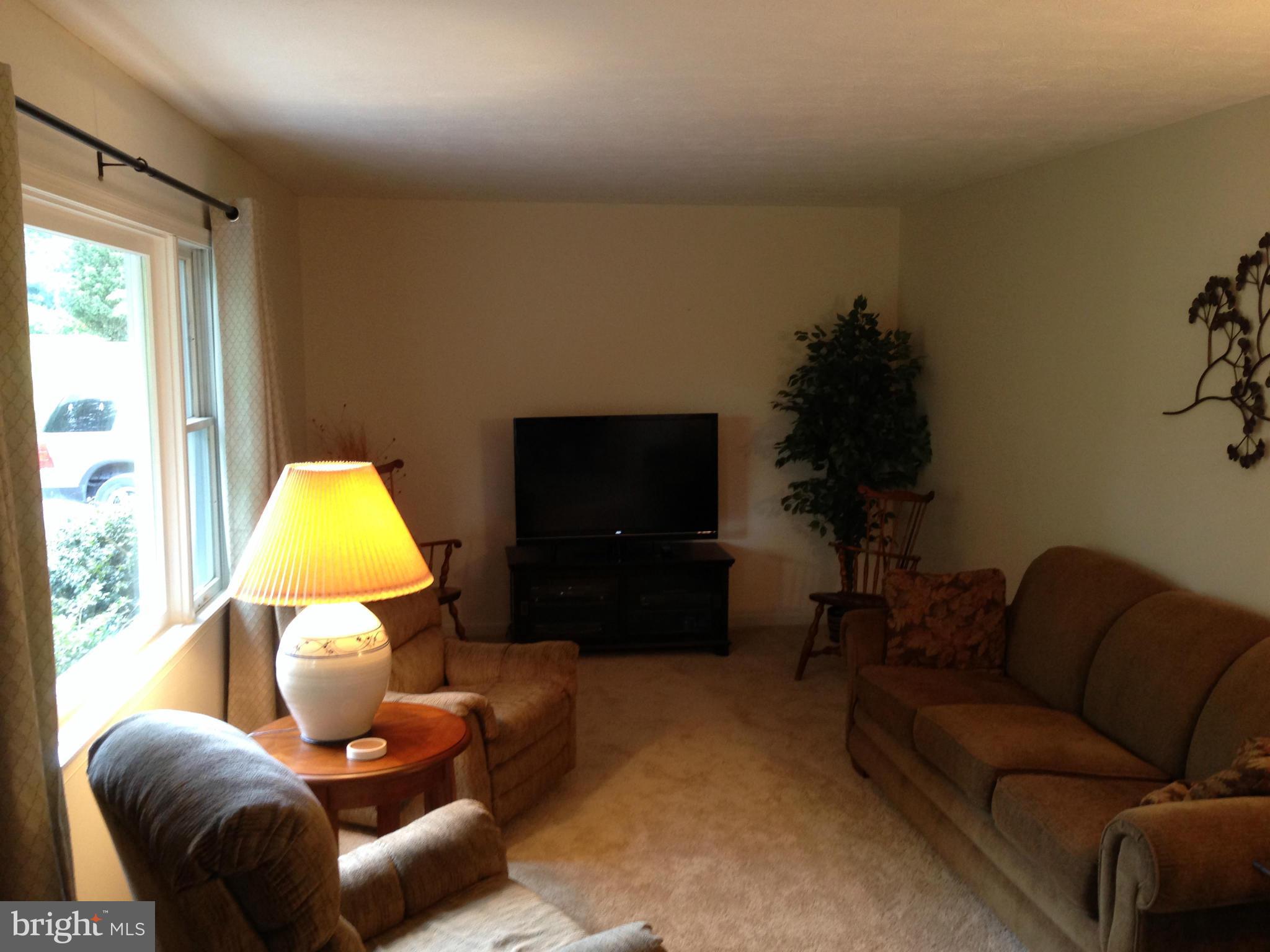199 Hanging Tree Road Winchester, VA 22603 - Photo 14 of 26 Family Room (all new floors & Paint)