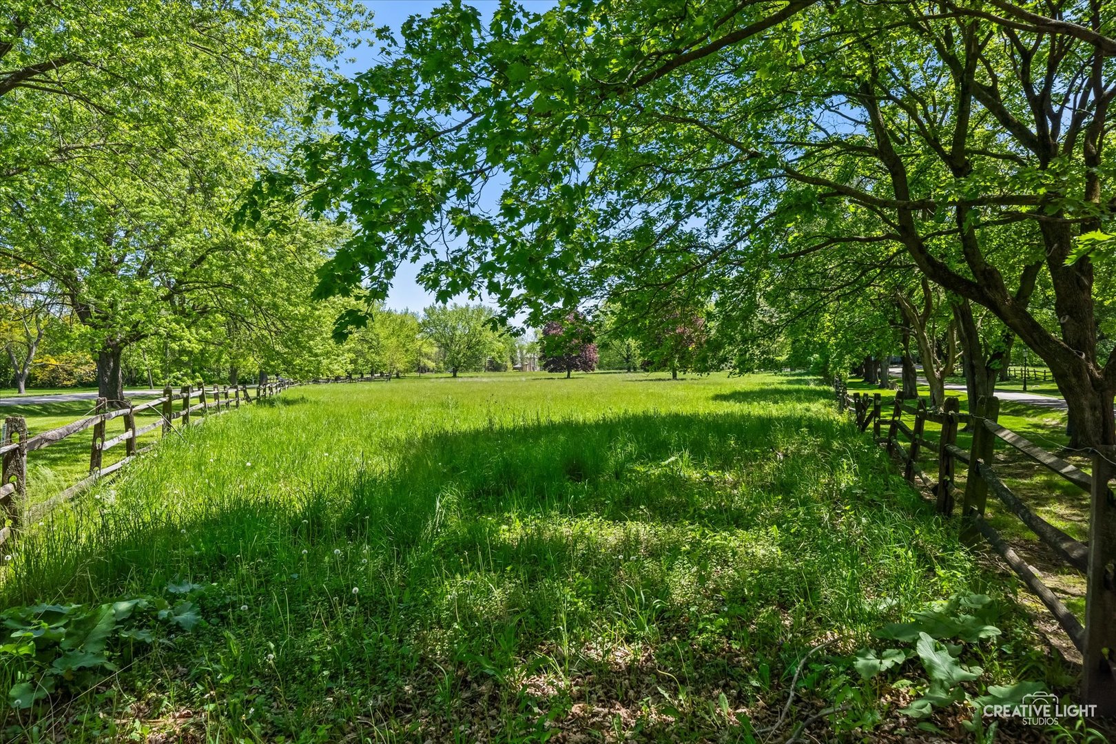 33W451 Surrey Road Wayne, IL 60184 - Photo 12 of 41 a view of a grassy field with trees