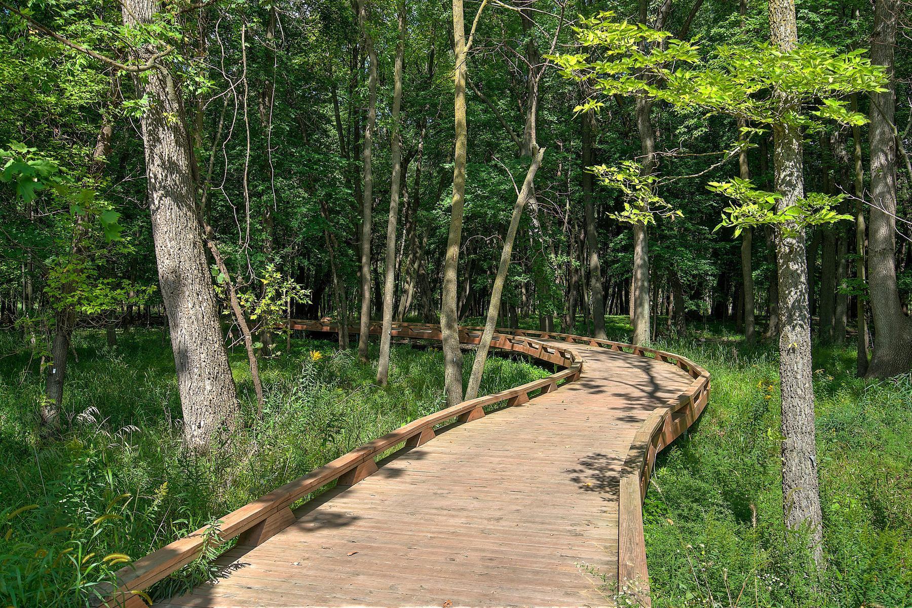 6617 Wolfberry Curve Minnetrista, MN 55331 - Photo 21 of 25