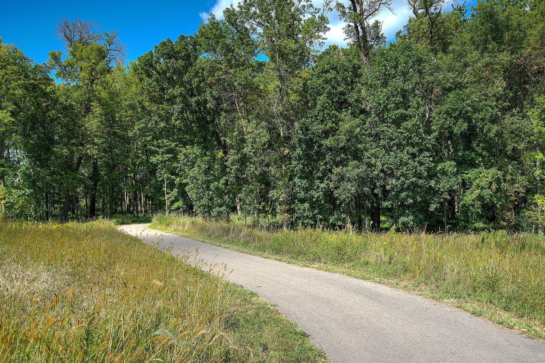 6617 Wolfberry Curve Minnetrista, MN 55331 - Photo 25 of 25