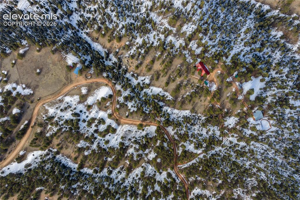 1910 Wildhorn Road Florissant, CO 80816 - Photo 48 of 50
