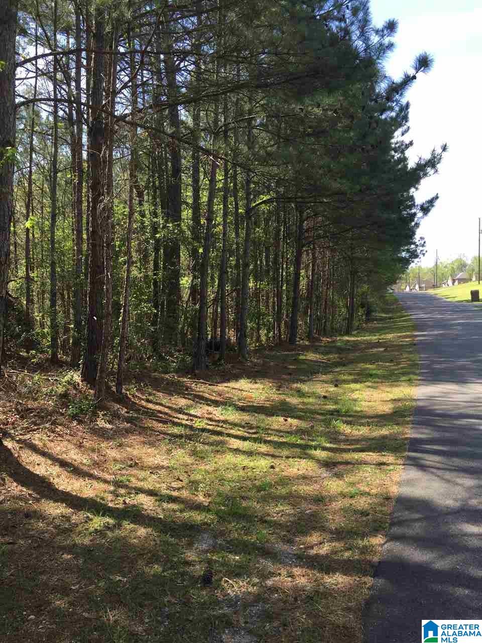 1331 Cedar Creek Road, Unit 4 ACRES Odenville, AL 35120 - Photo 8 of 20