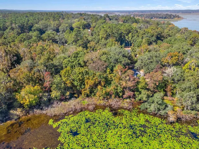 $105,000 | 0 Lake Iamonia Drive, Tallahassee, FL 32312