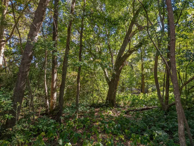 $105,000 | 0 Lake Iamonia Drive, Tallahassee, FL 32312