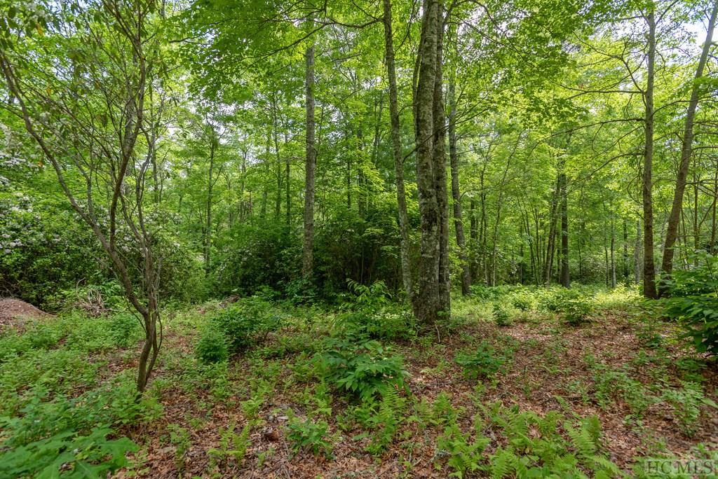 Lot 39 Covered Bridge Road Cullowhee, NC 28723 - Photo 7 of 26 Gallery Image 7