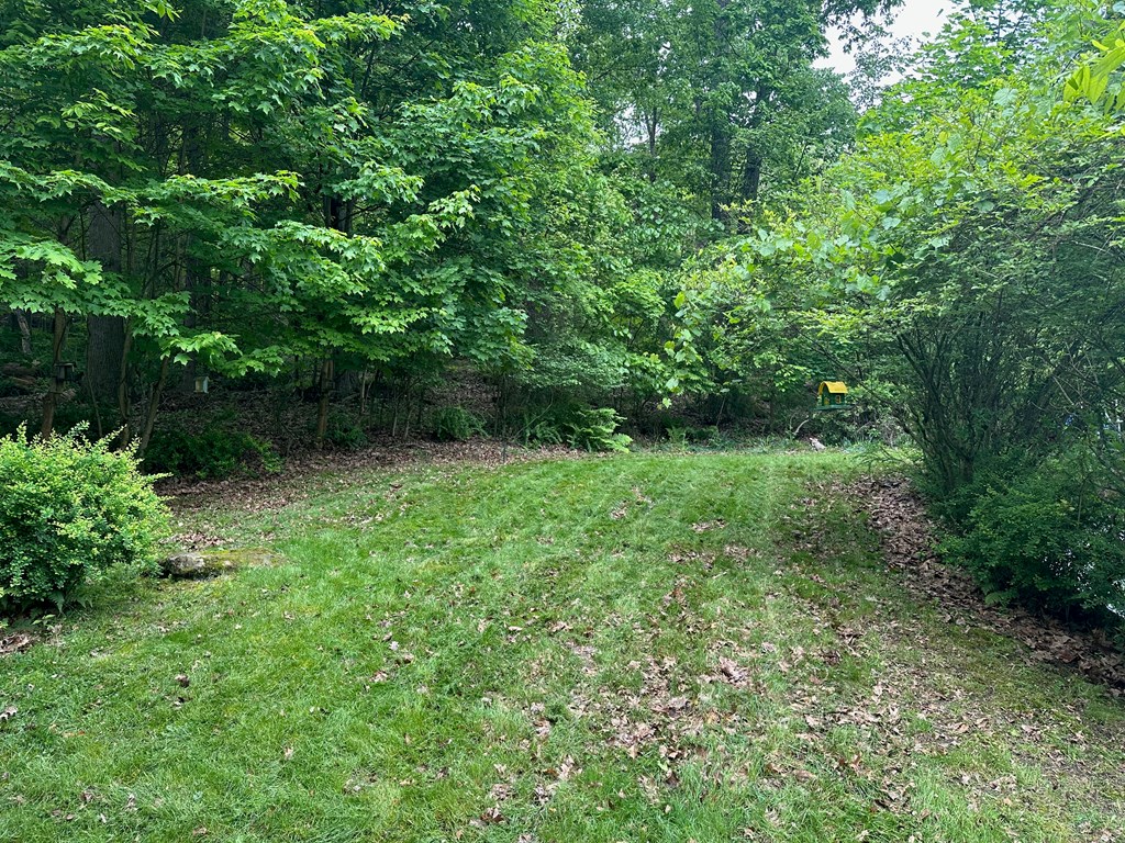 324 16th Street Franklin, PA 16323 - Photo 21 of 24 a view of outdoor space and yard