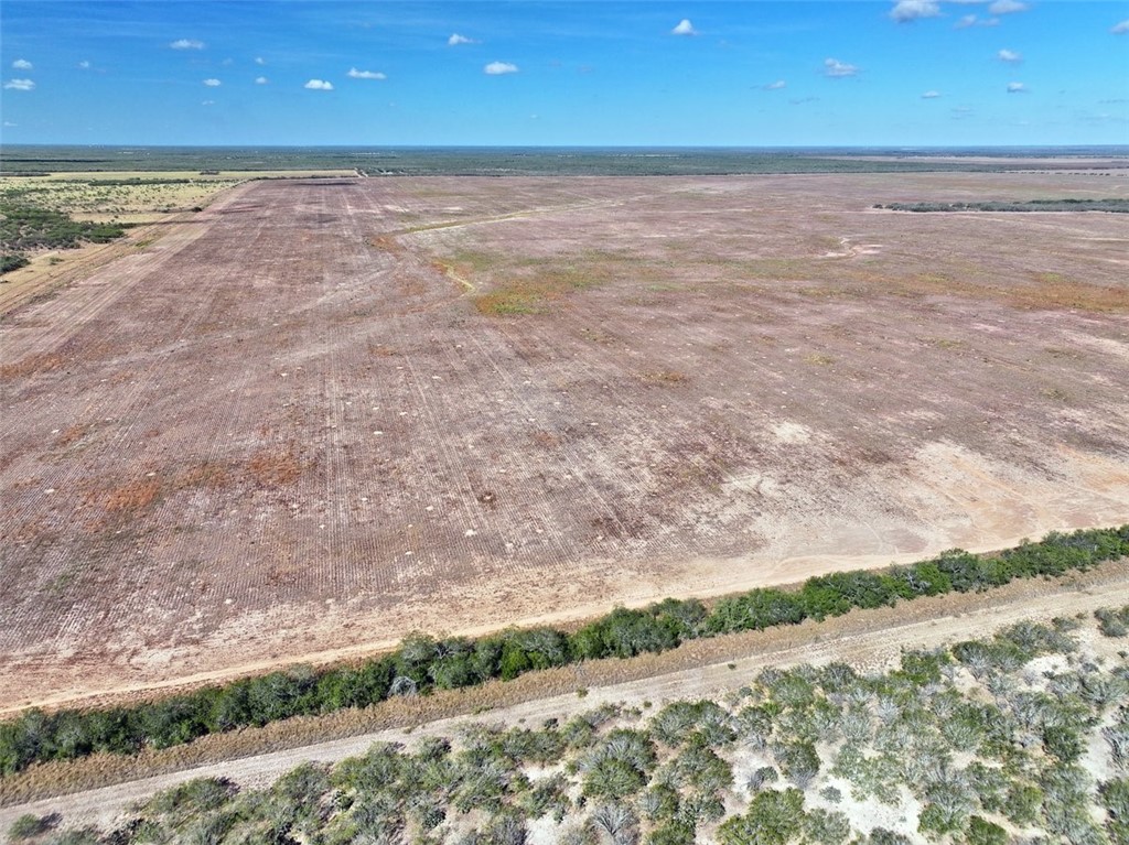 0 Th Concepcion, TX 78349 - Photo 15 of 17