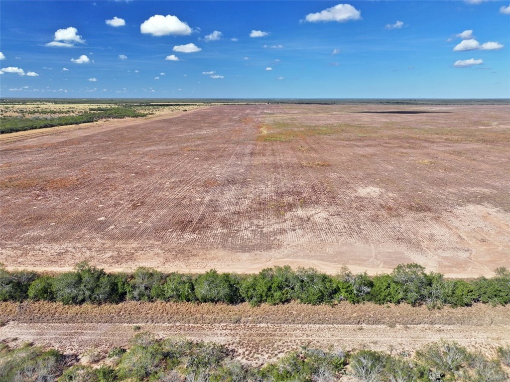 0 Th Concepcion, TX 78349 - Photo 6 of 17