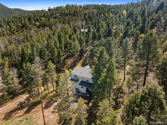 a view of a forest with a mountain