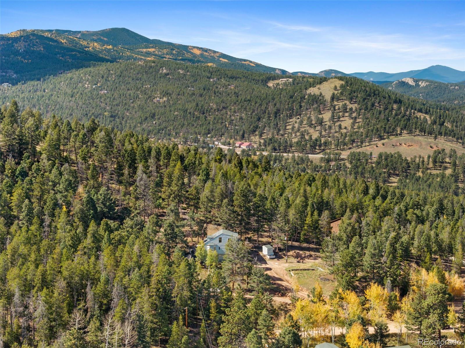 11825 South Little Turtle Lane Conifer, CO 80433 - Photo 12 of 34 a view of a forest with a mountain