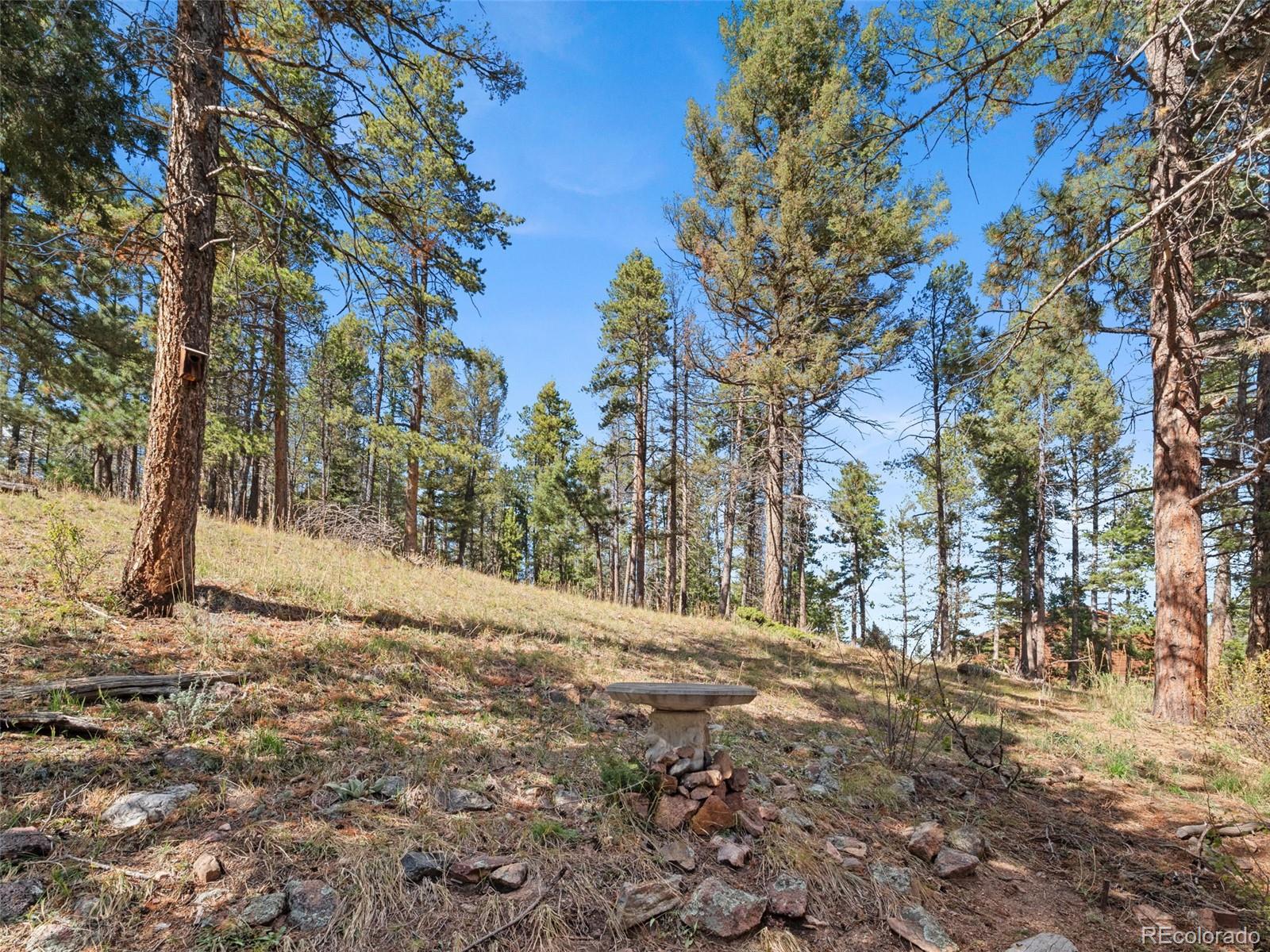11825 South Little Turtle Lane Conifer, CO 80433 - Photo 29 of 34 a view of a yard with snow on the road