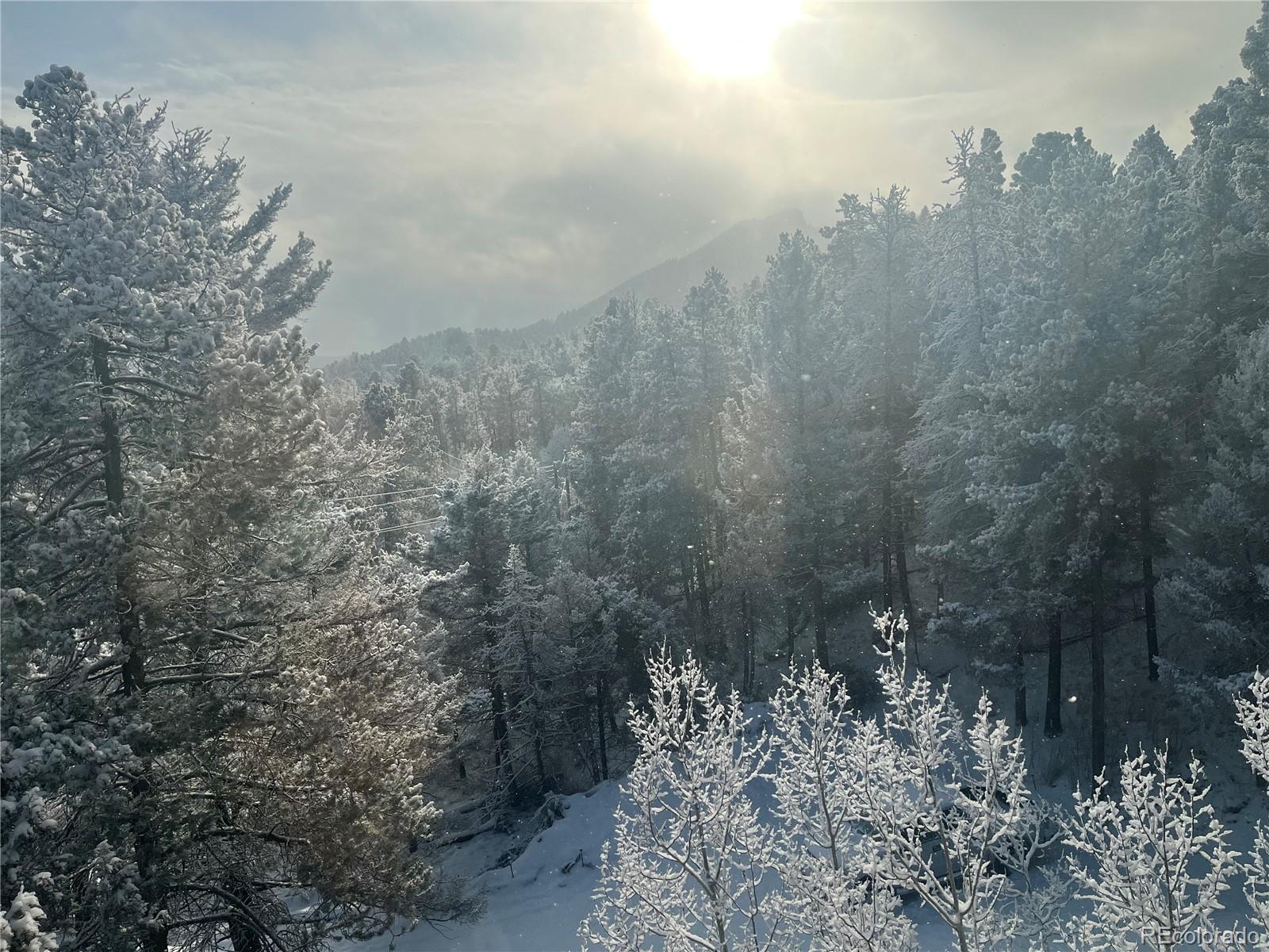 11825 South Little Turtle Lane Conifer, CO 80433 - Photo 7 of 34 a view of a forest with a yard