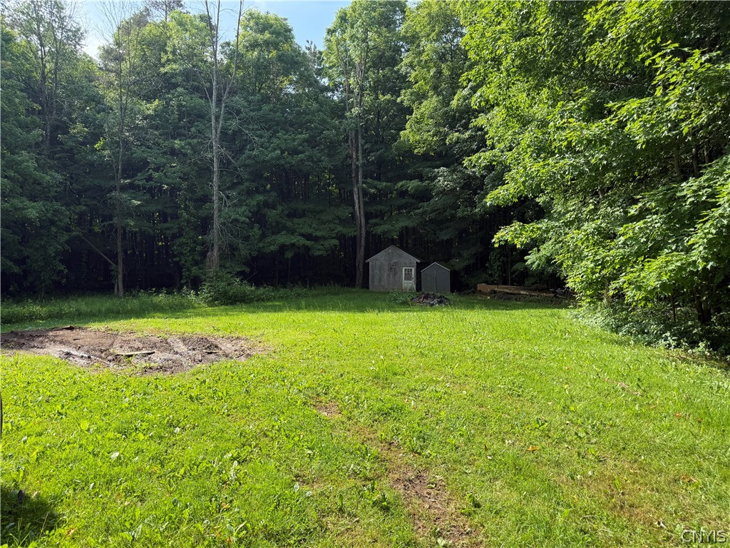 45 Black Creek Road Volney, NY 13126 - Photo 7 of 21