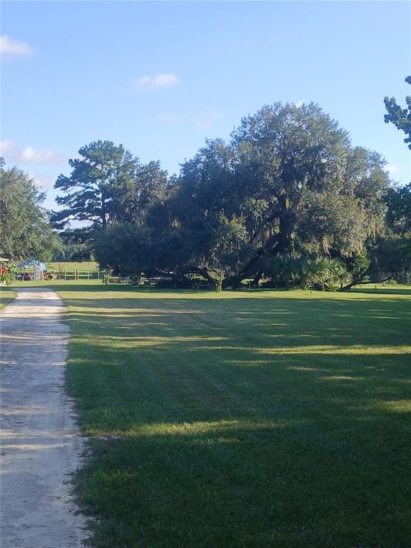 10360 County Road 18 Lake Butler, FL 32054 - Photo 21 of 43 a view of a big yard