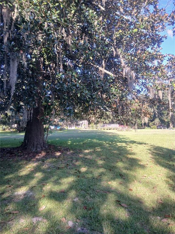 10360 County Road 18 Lake Butler, FL 32054 - Photo 22 of 43 a view of yard with green space and trees