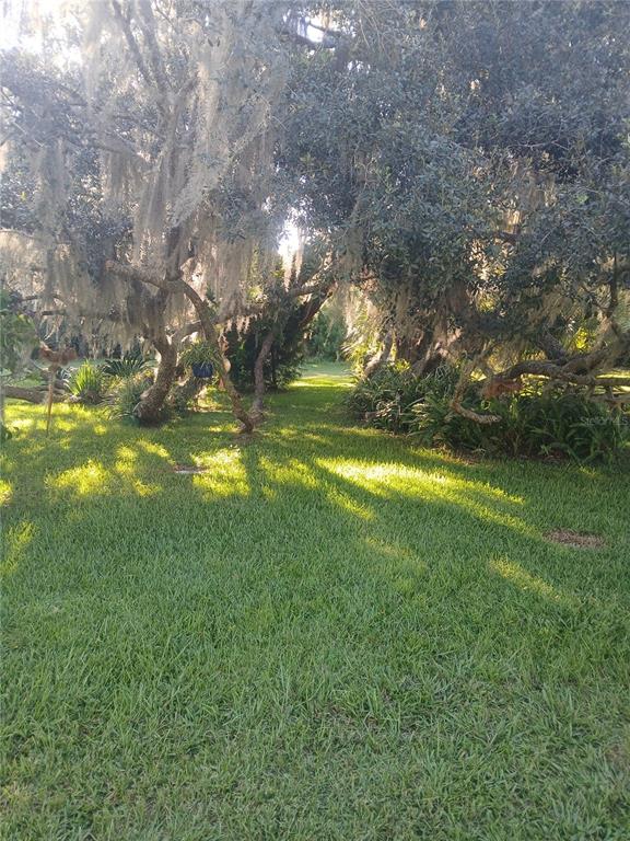 10360 County Road 18 Lake Butler, FL 32054 - Photo 27 of 43 a view of yard with swimming pool and green space