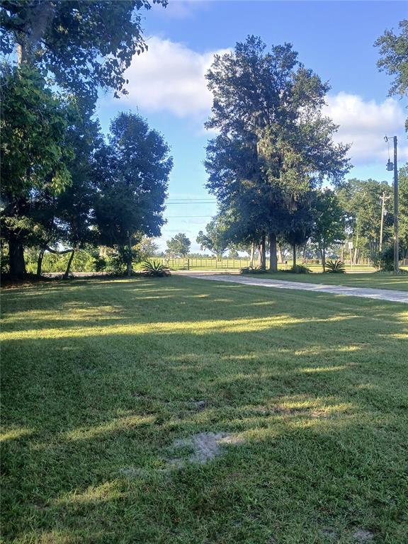 10360 County Road 18 Lake Butler, FL 32054 - Photo 6 of 43 a view of a golf course