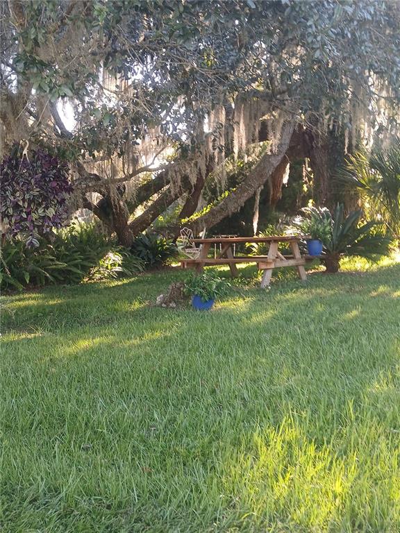 10360 County Road 18 Lake Butler, FL 32054 - Photo 8 of 43 a view of a park with large trees
