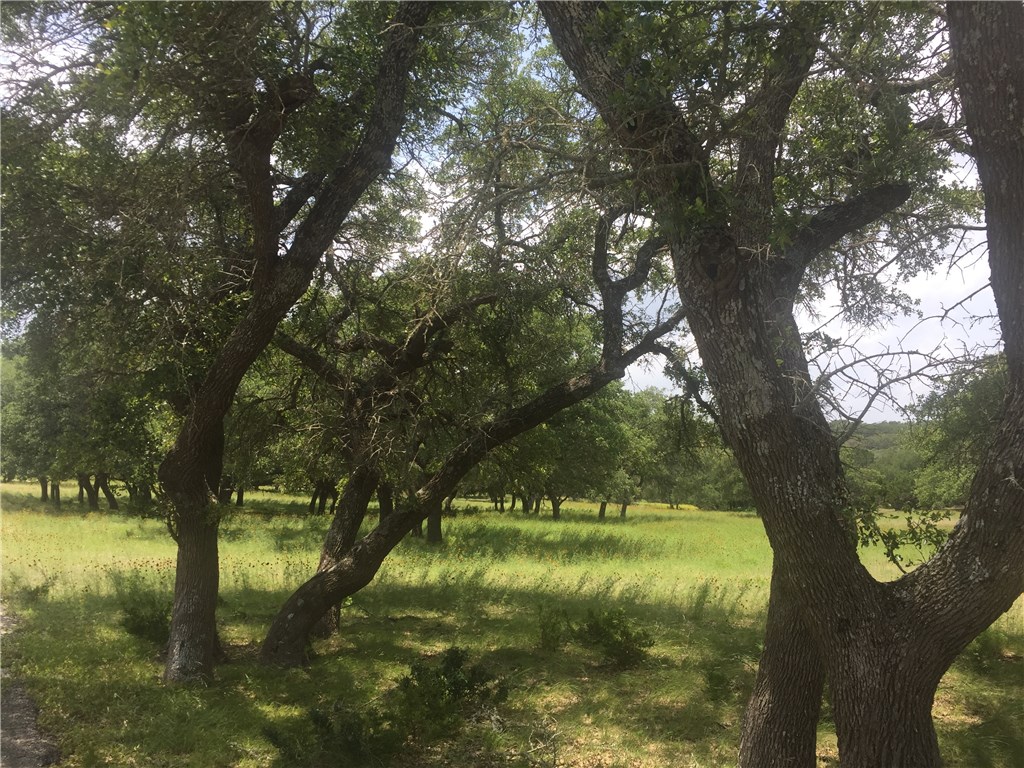 Lot 4 Mystic Overlook Road Dripping Springs, TX 78620 - Photo 1 of 1