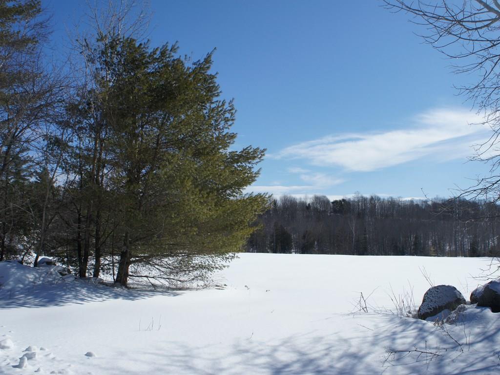 0 Waning Road Unity, ME 04988 - Photo 1 of 10 Photo