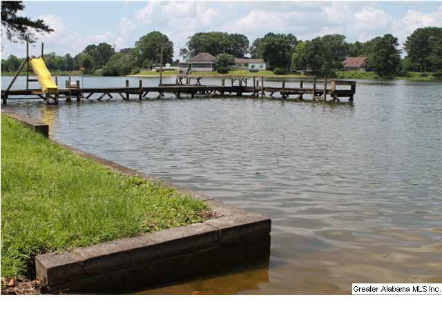201 Blue Spring Trail Cropwell, AL 35054 - Photo 13 of 21