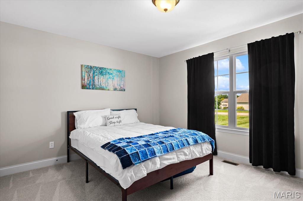 804 Autumn Rise Lane Columbia, IL 62236 - Photo 18 of 61 Gallery Image 18