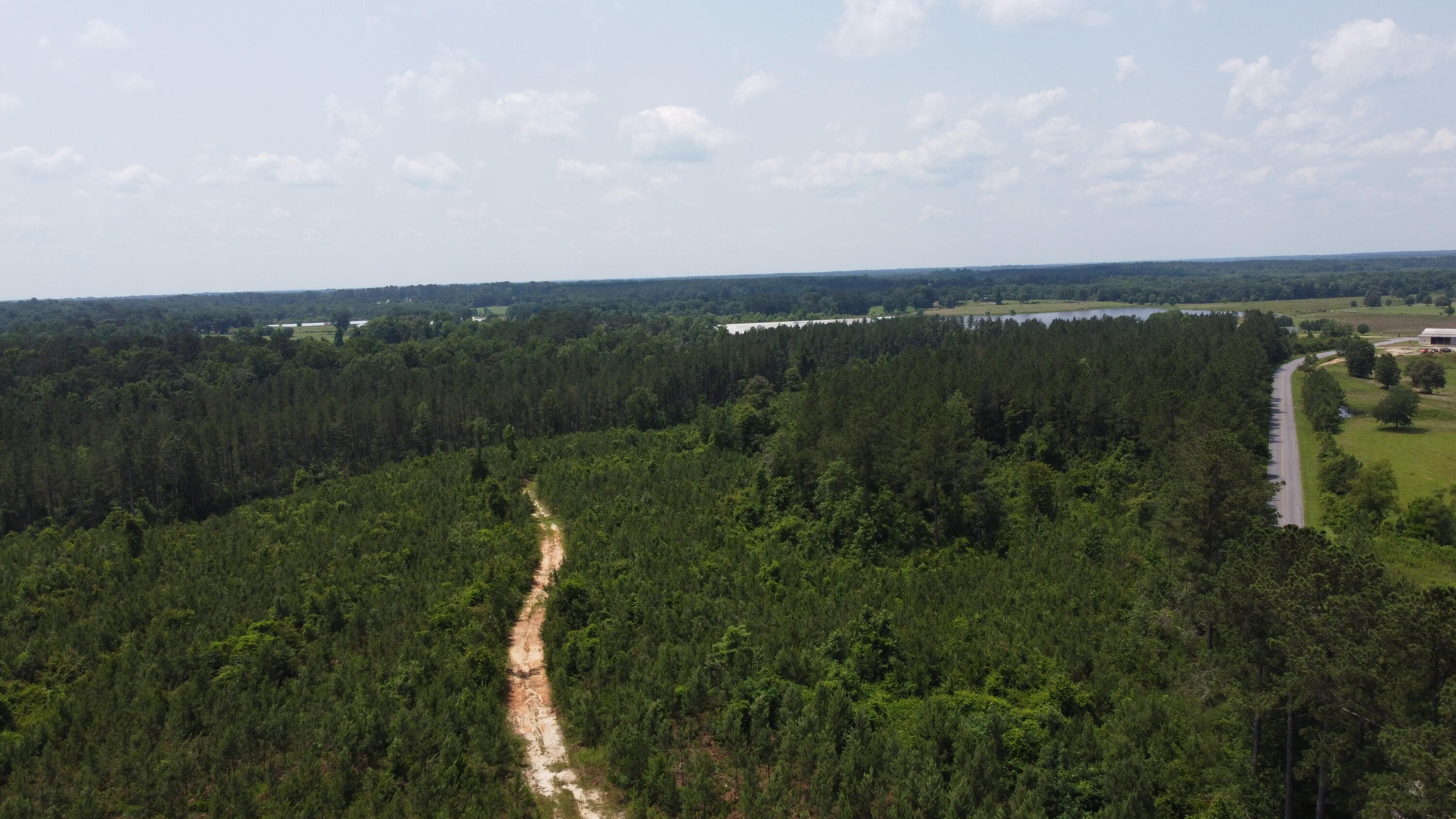 0 Pleasant Grove Road Laurel, MS 39443 - Photo 19 of 20 DJI_0952