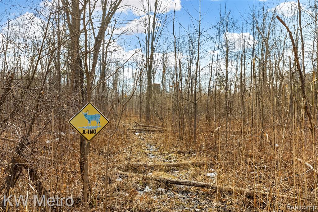 8665 Meskill Road Columbus, MI 48063 - Photo 48 of 55
