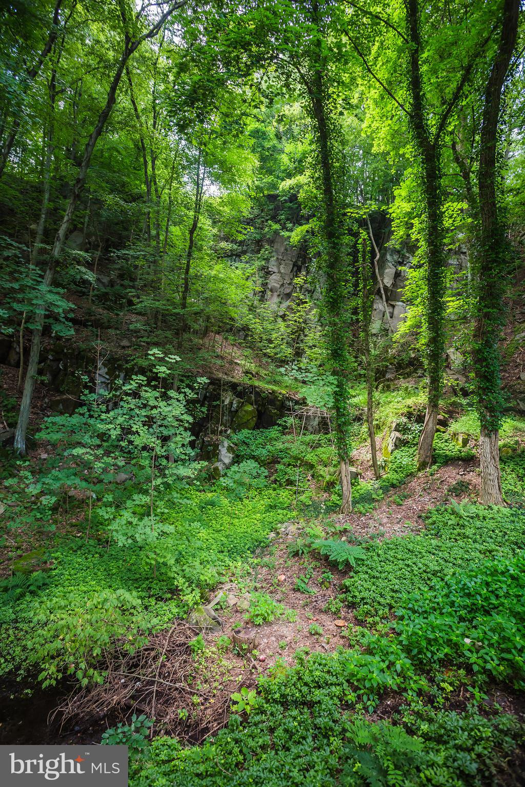 3523 River Road New Hope, PA 18938 - Photo 38 of 41