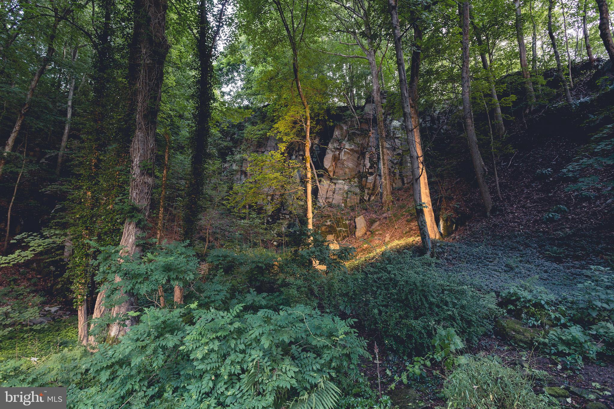 3523 River Road New Hope, PA 18938 - Photo 40 of 41