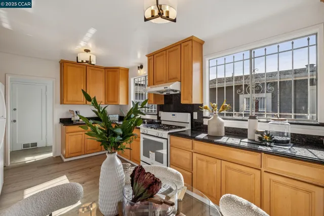 a kitchen with stainless steel appliances a sink a stove cabinets potted plant and a window