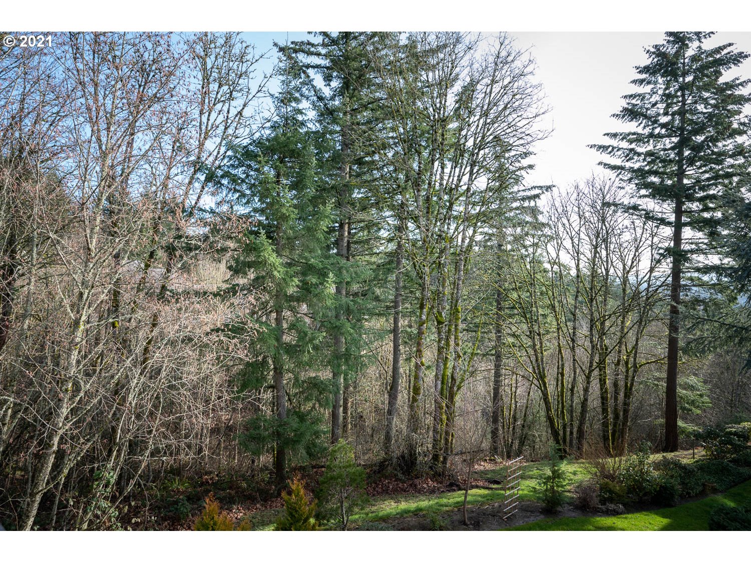 3173 Northwest Miller Road Portland, OR 97229 - Photo 23 of 26 Gallery Image 23