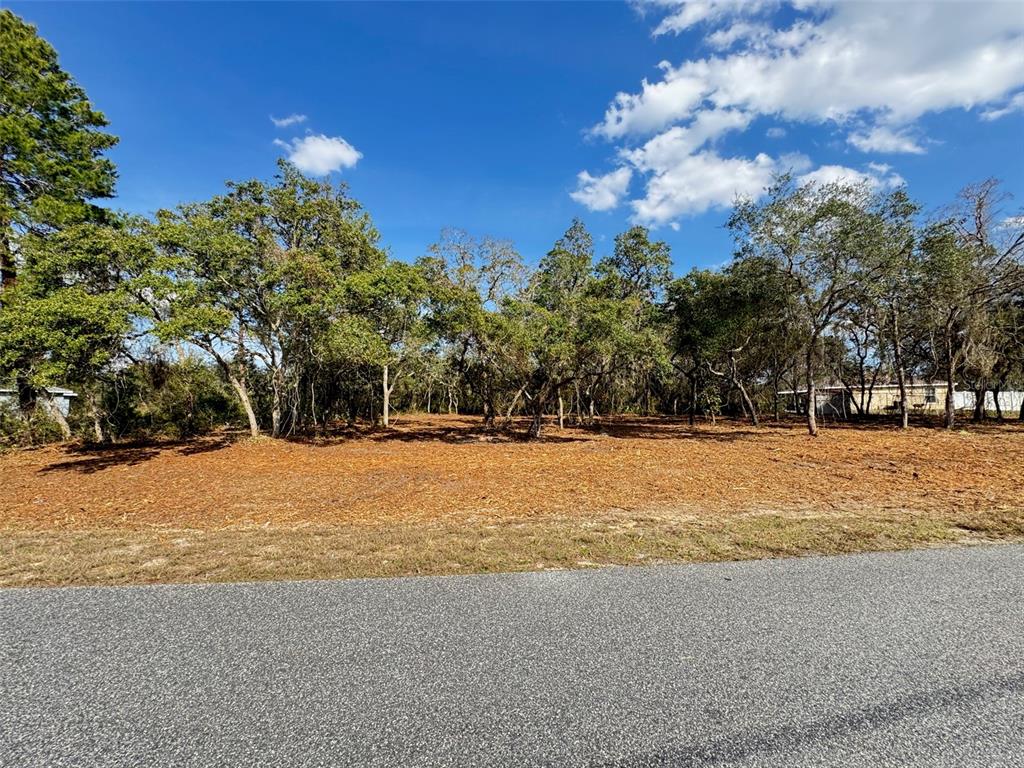 Oak Circle Ocala, FL 34472 - Photo 3 of 10