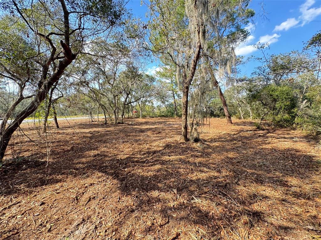 Oak Circle Ocala, FL 34472 - Photo 7 of 10