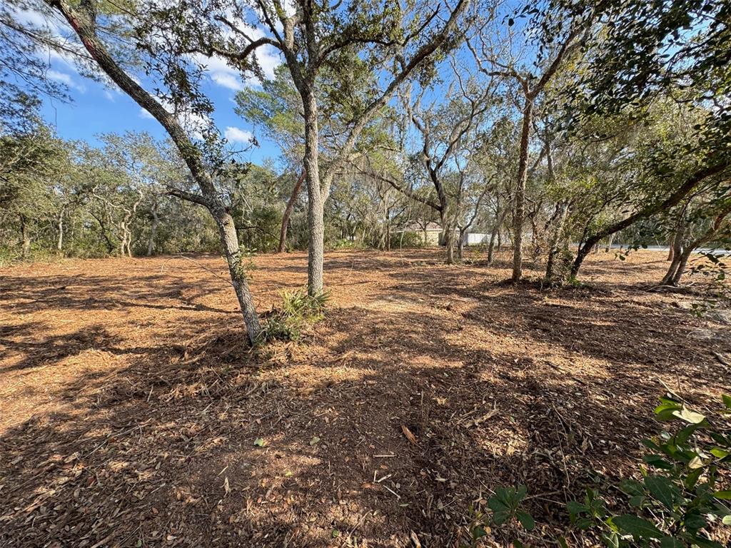 Oak Circle Ocala, FL 34472 - Photo 8 of 10