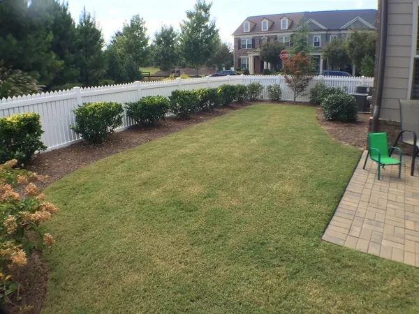 a view of a backyard