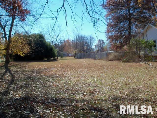 103 West 9th Street Belle Rive, IL 62810 - Photo 15 of 15