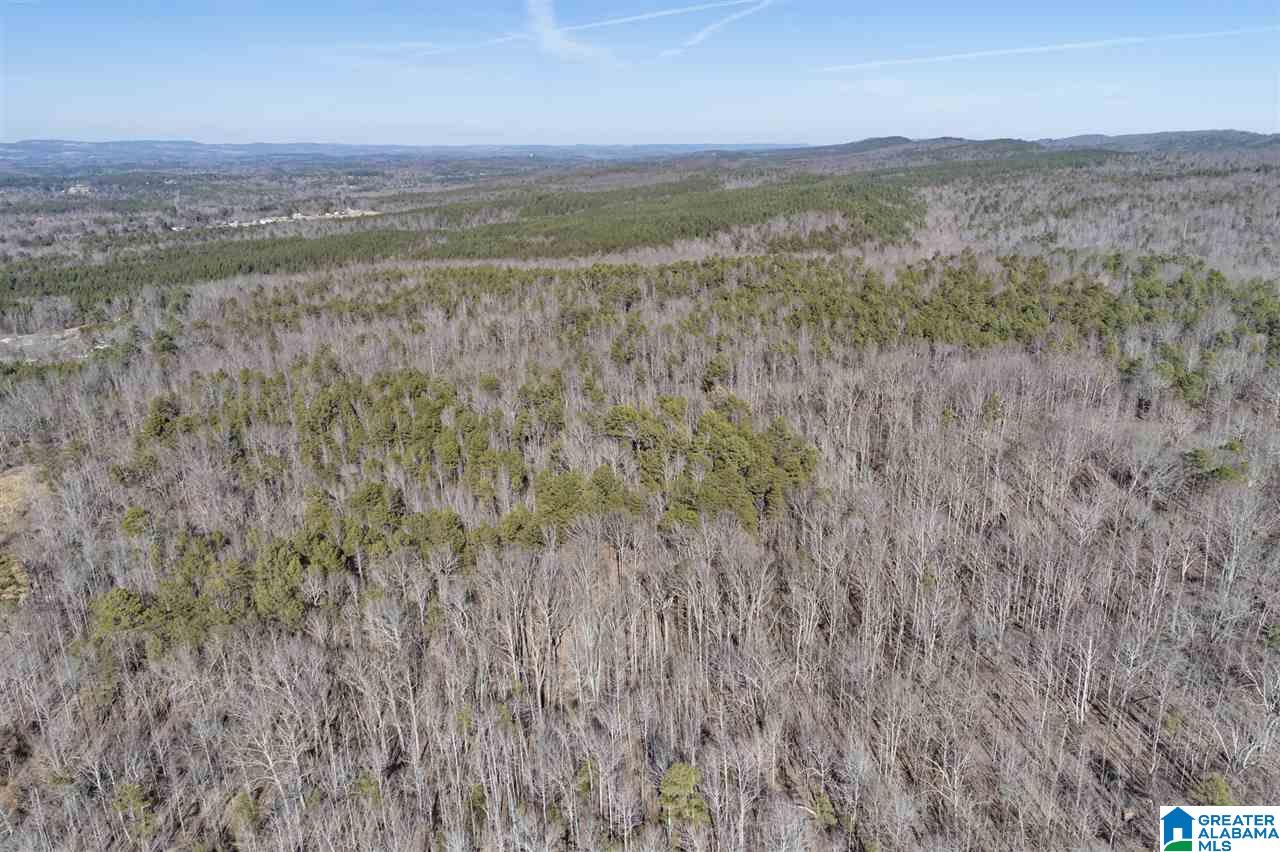 0 Mountain Drive, Unit 159ACRES Remlap, AL 35133 - Photo 6 of 8