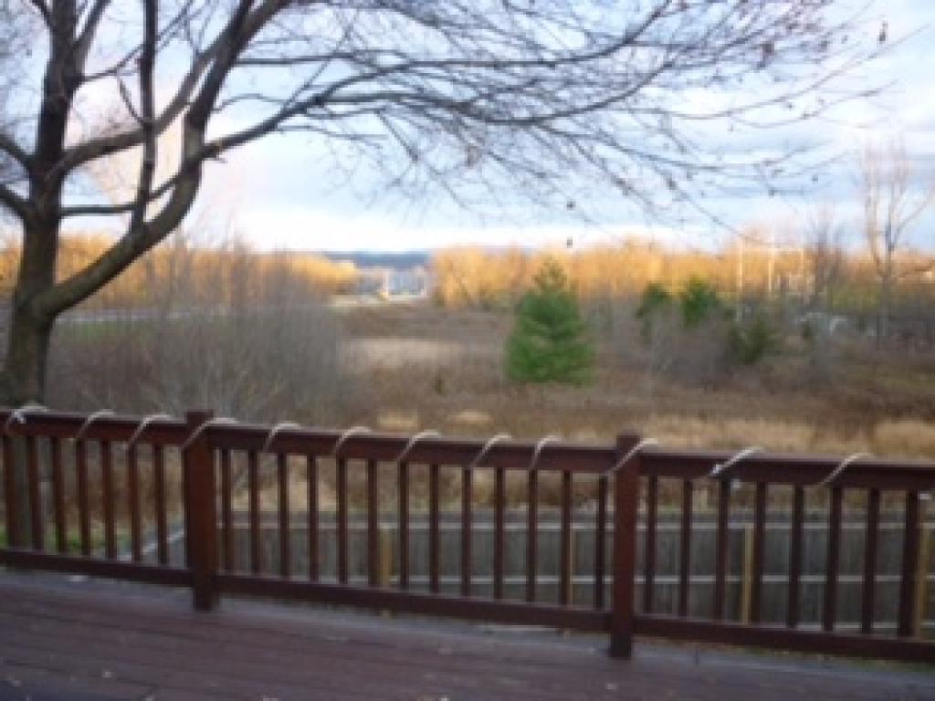 174 Landon Road South Hero, VT 05486 - Photo 6 of 36 Gallery Image 6