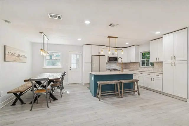 a close up of a potted plant in front of a door