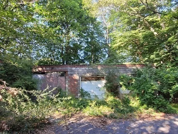 a view of a forest