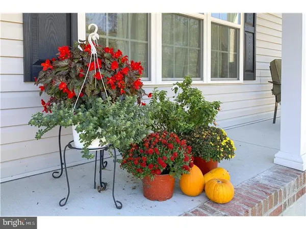 a vase of flowers sitting on a table with window
