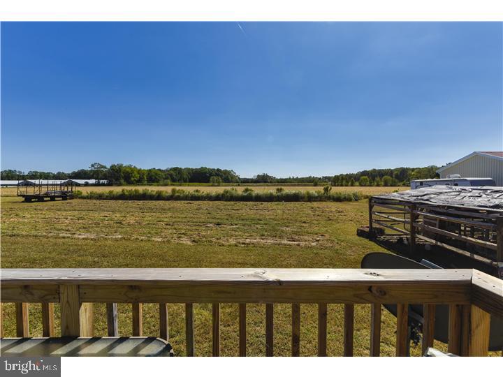 17166 Philips Hill Road Laurel, DE 19956 - Photo 37 of 40